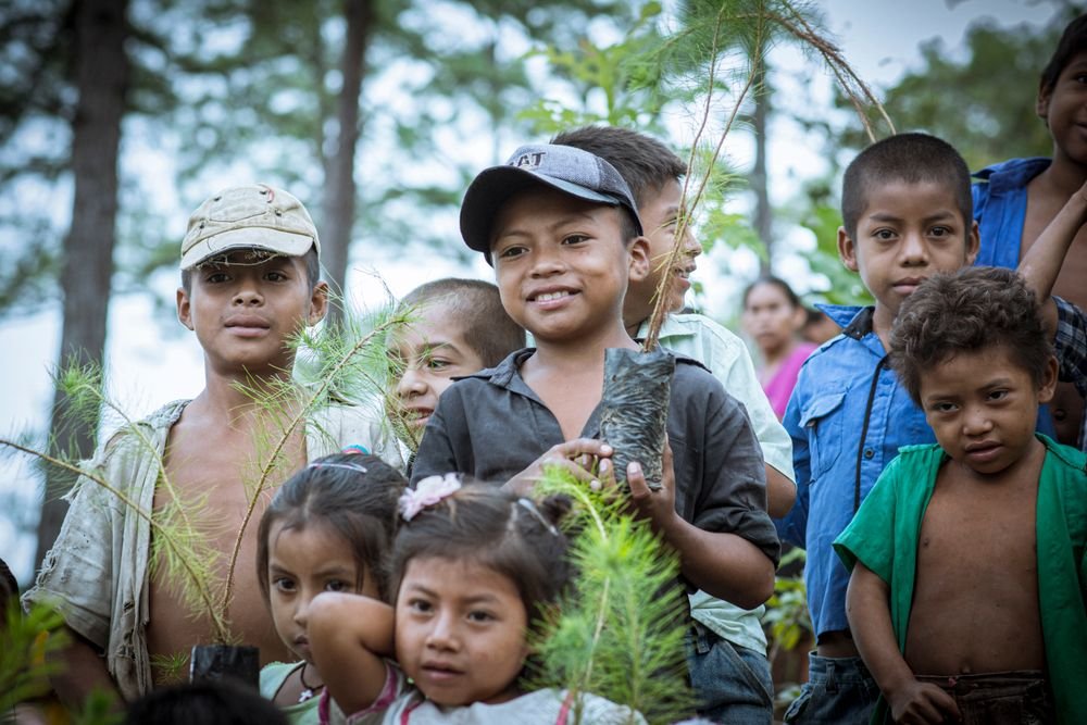 Children holding tree seedlings