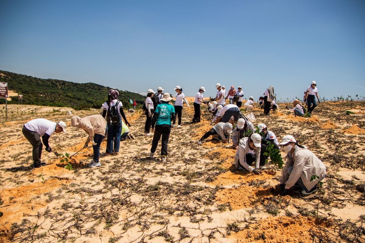 Volunteers planting trees together